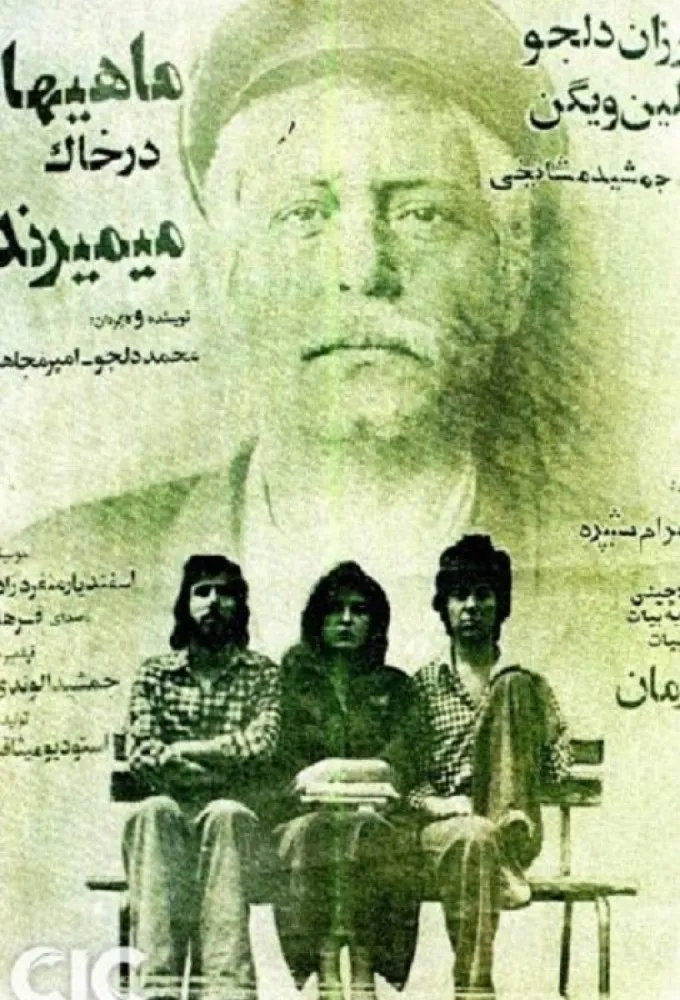 The Fish Die on the Soil