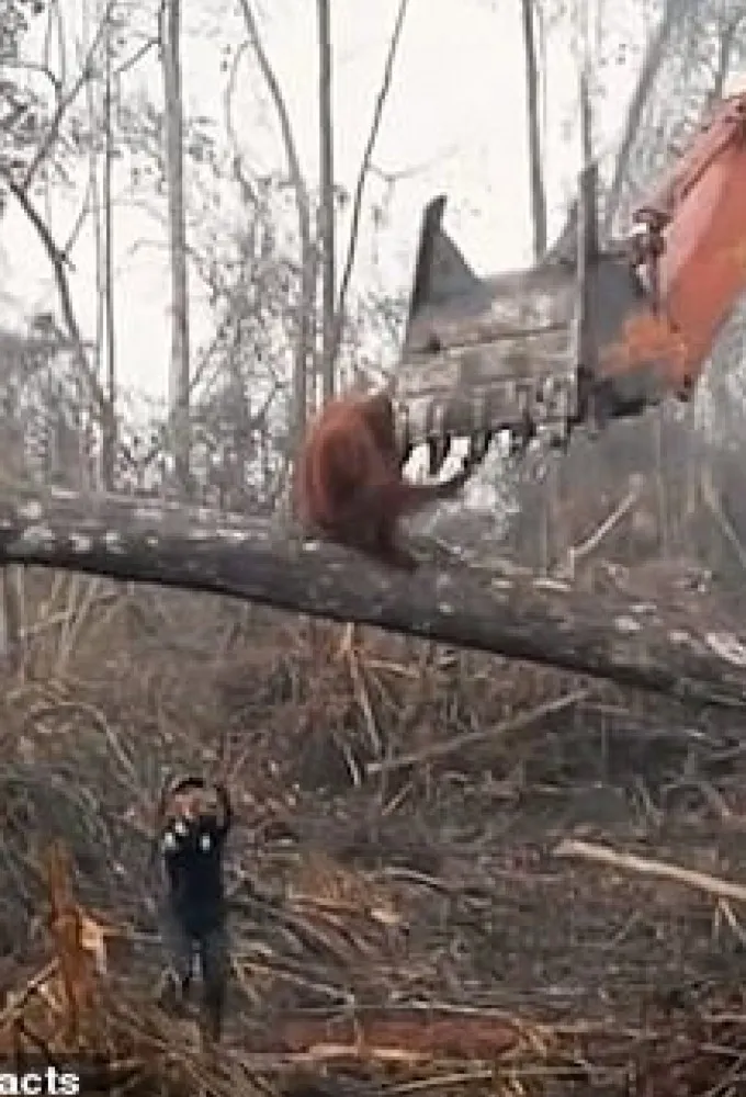 Climate Change: The Facts