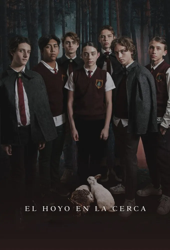 The Hole in the Fence