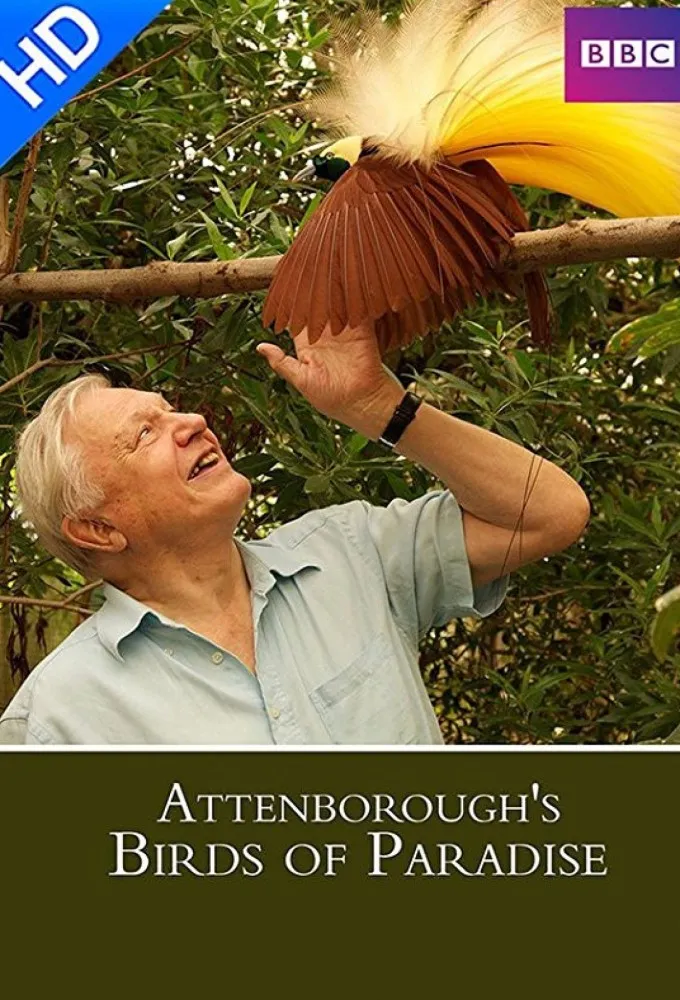 Birds of Paradise Documentary