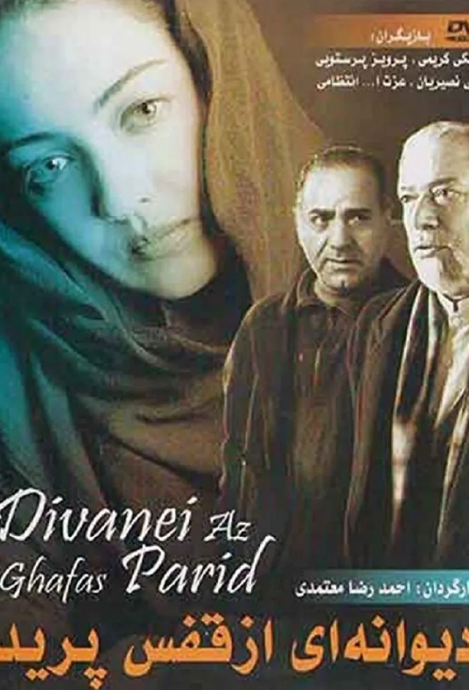 The Insane Flew Away