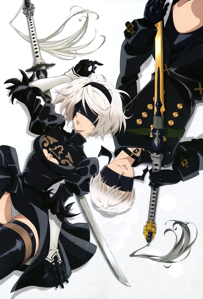 Nier: Automata Ver1.1a