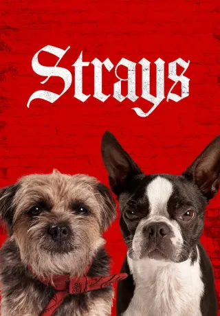 Strays