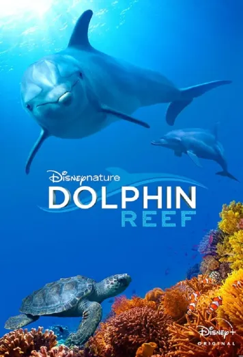 Dolphin Reef