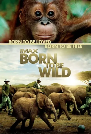 Born to Be Wild