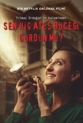 Have You Ever Seen Fireflies?