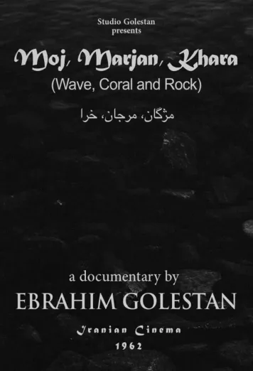 Wave, Coral and Rock