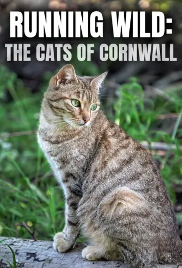 Running Wild: The Cats of Cornwall
